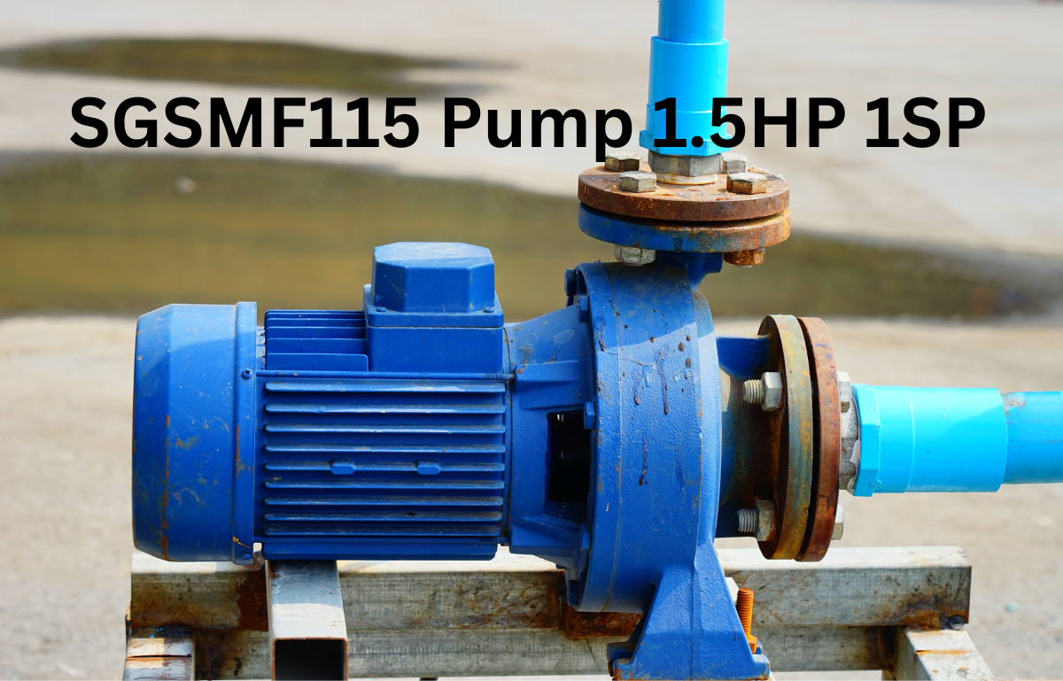 Purchase Waterway Plastics SGSMF115 Pump 1.5HP 1SP